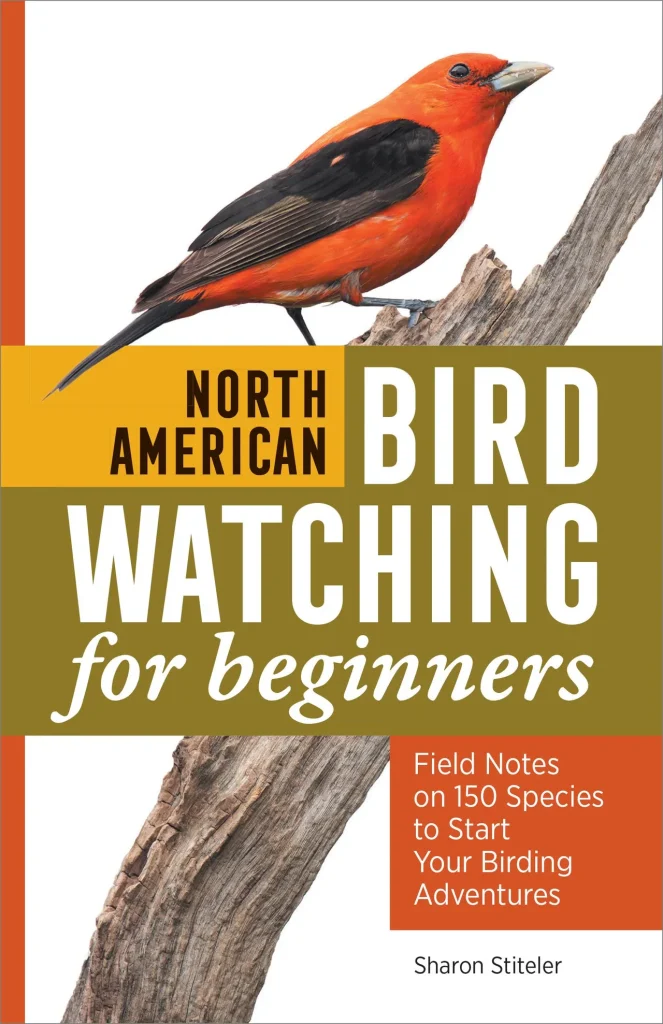 Cover for North American Bird Watching for Beginners by Sharon Stiteler.