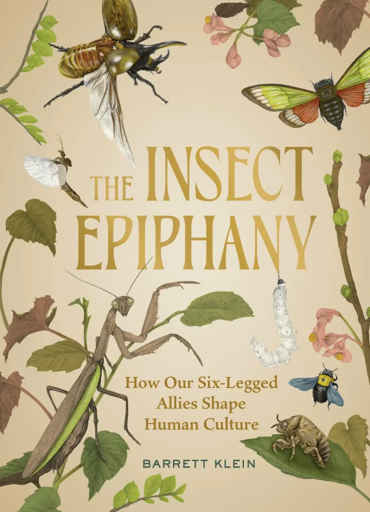 Cover for The Insect Epiphany by Barrett Klein.