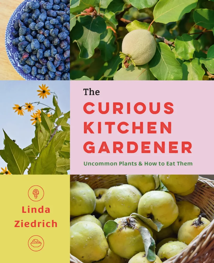 Cover for The Curious Kitchen Gardener by Linda Ziedrich.